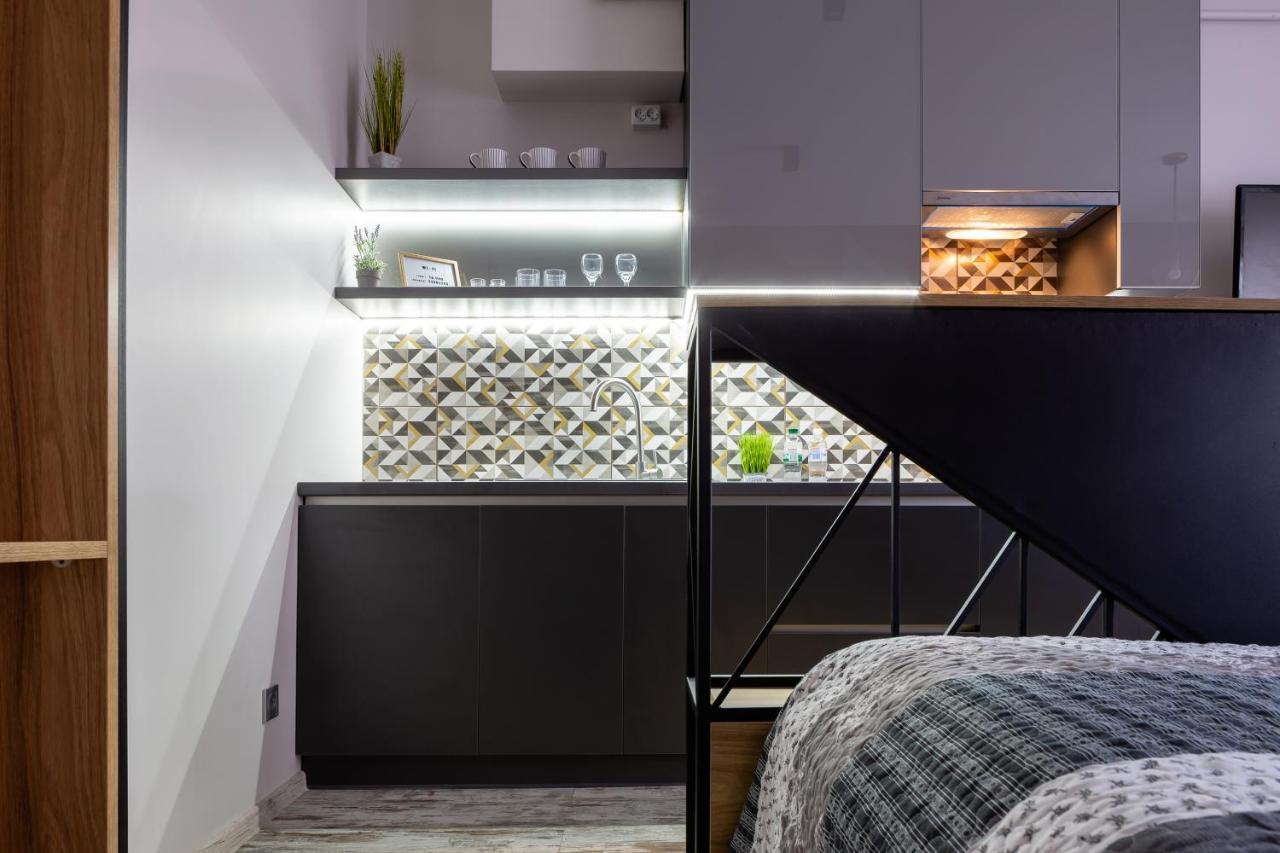 Lion King Danyla 1 Apartament Lwów Zewnętrze zdjęcie